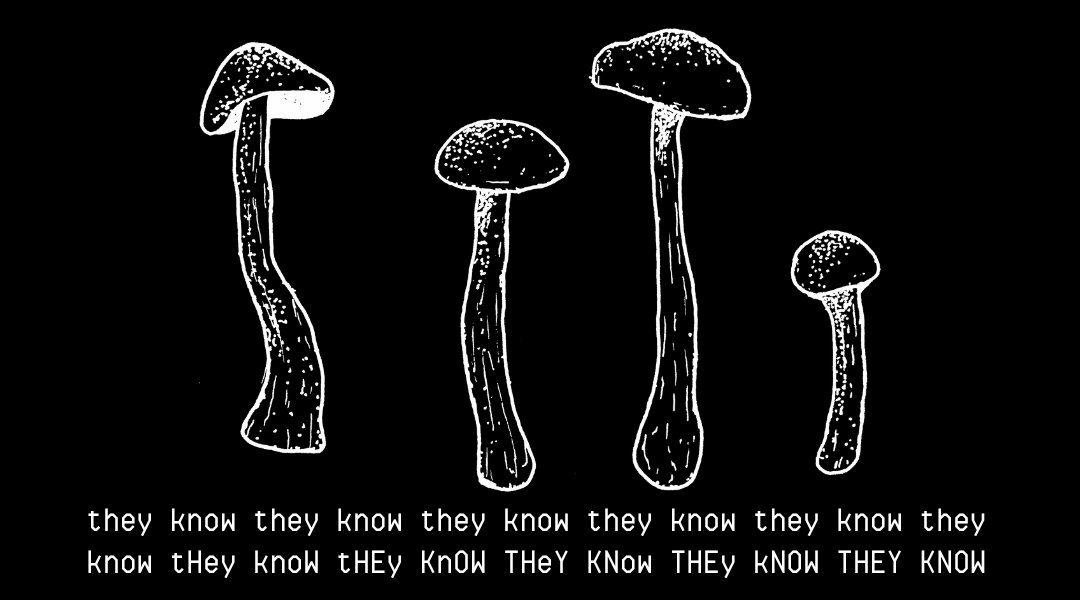 mushrooms. they are everywhere. they know everything. they know.