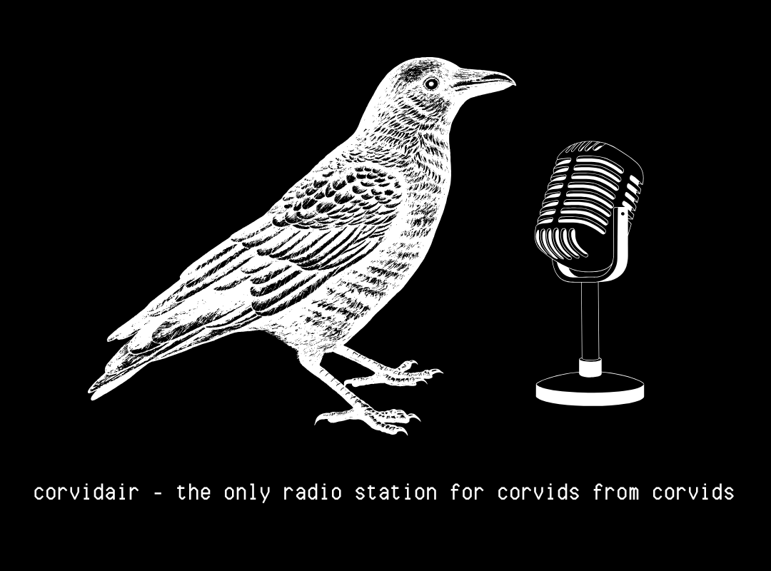 corvidae finally got their own radio station.